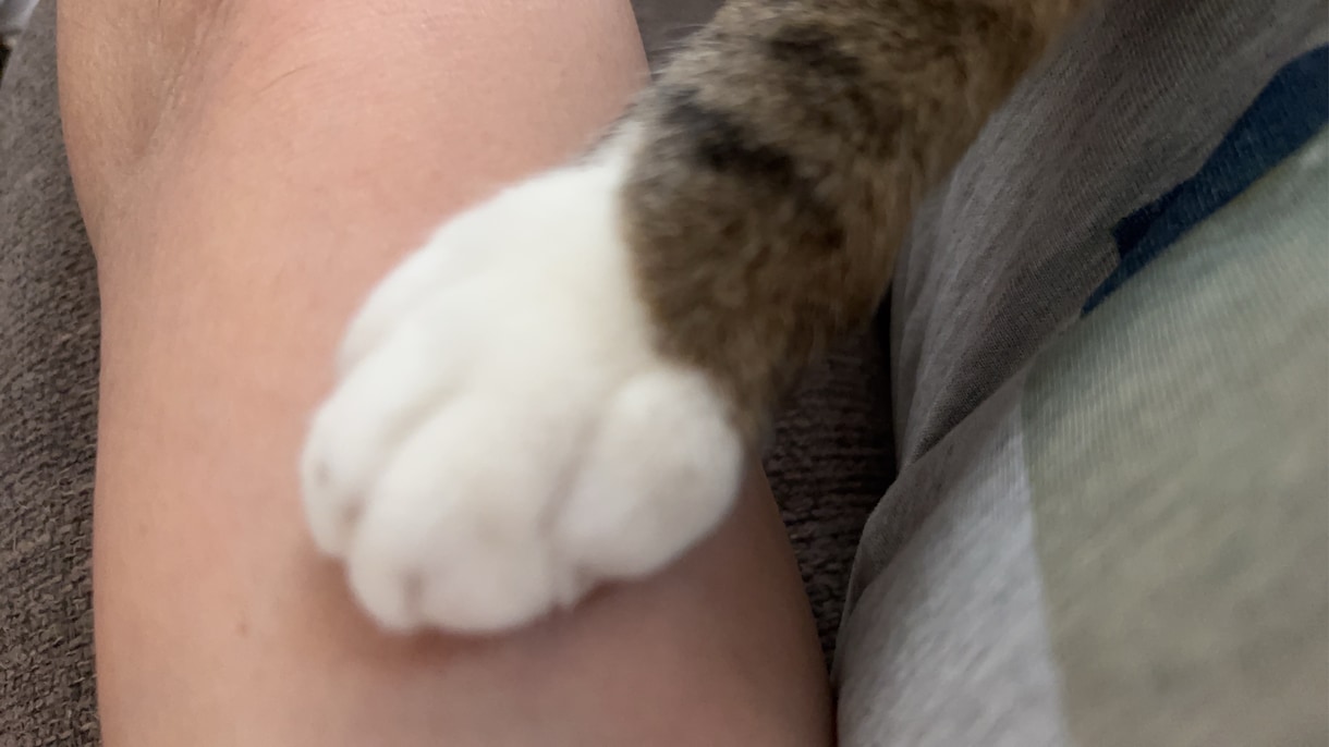 心理カウンセラー。話す事で気持ちを楽にします 女性専用。1人で抱えこまないで話してみませんか？ イメージ1