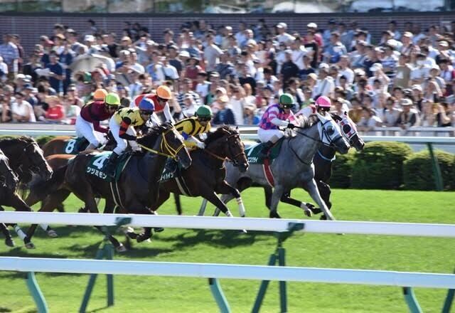 競馬投資　1点買いお教えします 予想不要、競馬知識不要。競馬を楽しみましょう！ イメージ1