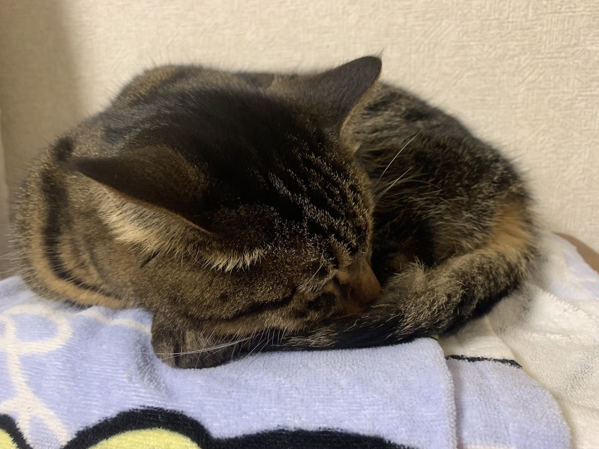 気軽にお話ききます モヤモヤなんでも！あなたのためにあなたに寄り添ってお話します イメージ3