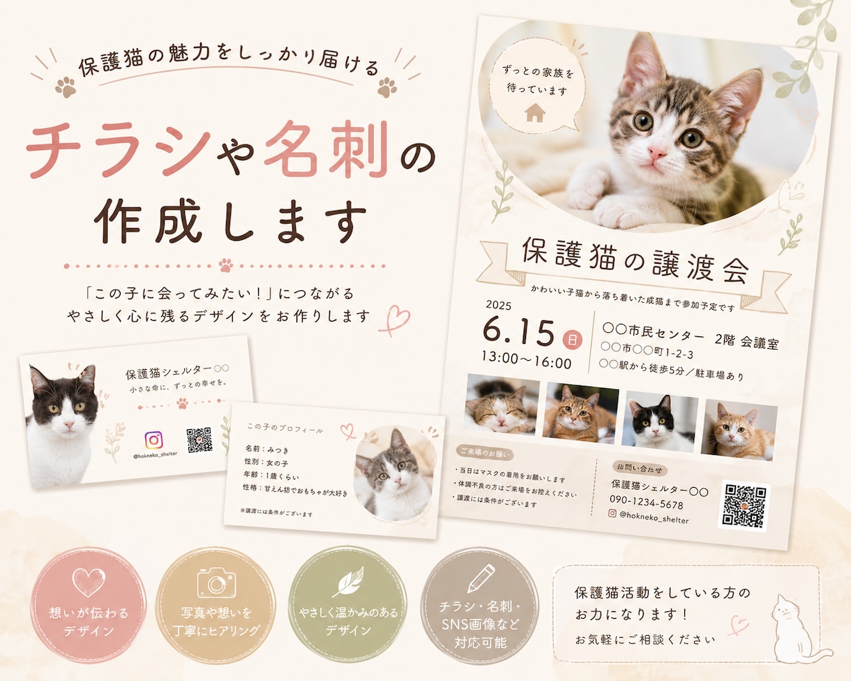 保護猫ちゃんの魅力が伝わるチラシを制作します 里親様募集や譲渡会用チラシ、猫ちゃんの名刺を作成します イメージ1
