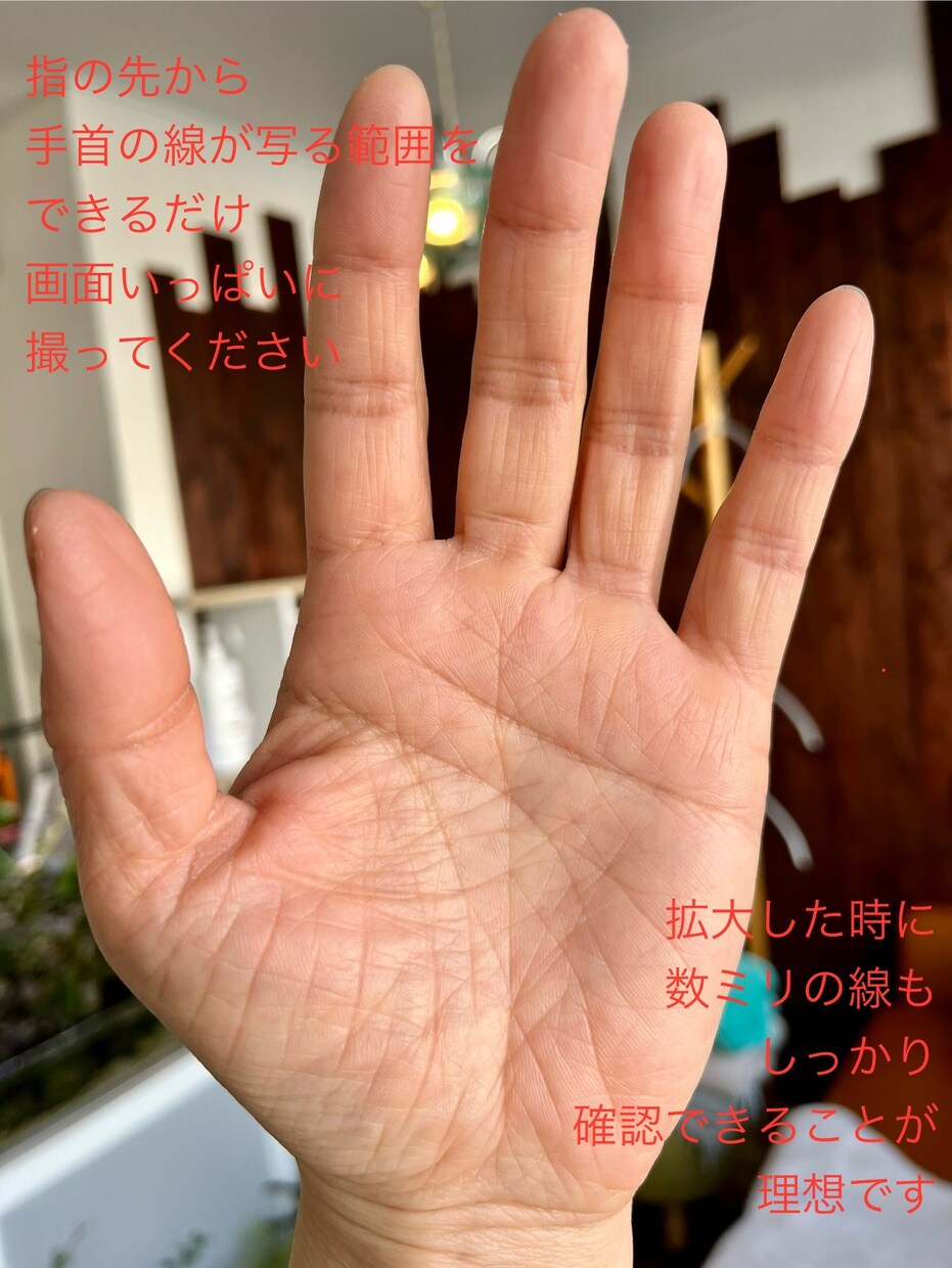 あなたの幸運を見つける手相鑑定を細かくします 内なる自分を見つめてHappyな気分で人生に彩りを! イメージ5