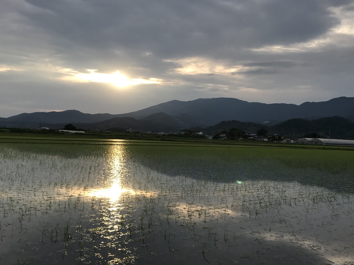 あなたに今一番必要な言葉を届けます あなたのココロを軽くして「現在」に戻します！ イメージ6