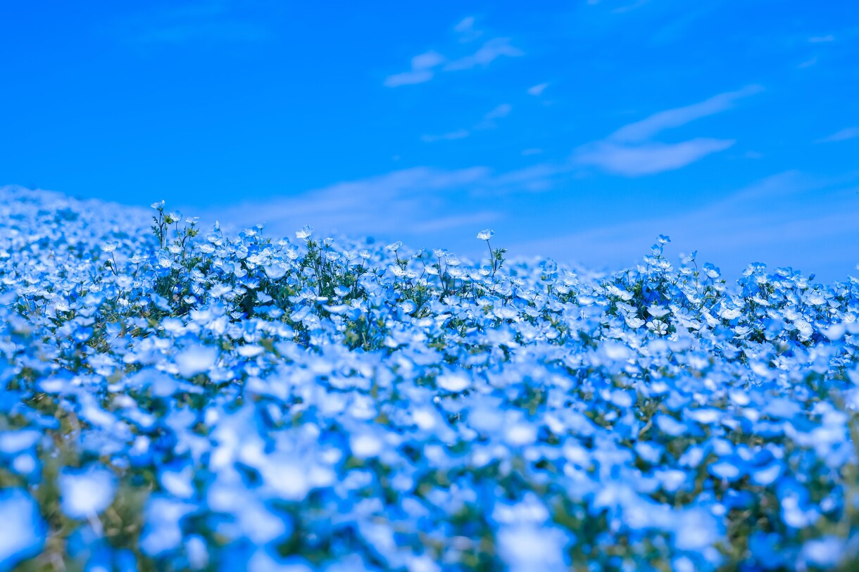 思い出の1ページに残る写真や宣材写真等を撮影します あなたの日常を写真に残してみませんか？ イメージ1