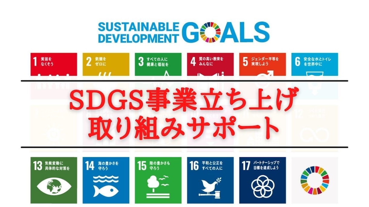 SDGs事業立ち上げを0からサポートいたします ココナラPROがSDGsの取組・事業立上げををサポート イメージ1