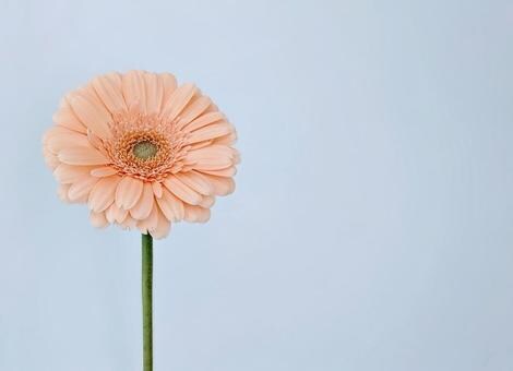 女性限定　電話でお悩み相談します 友達のように話してください自己啓発・生き方・人生なんでも イメージ1