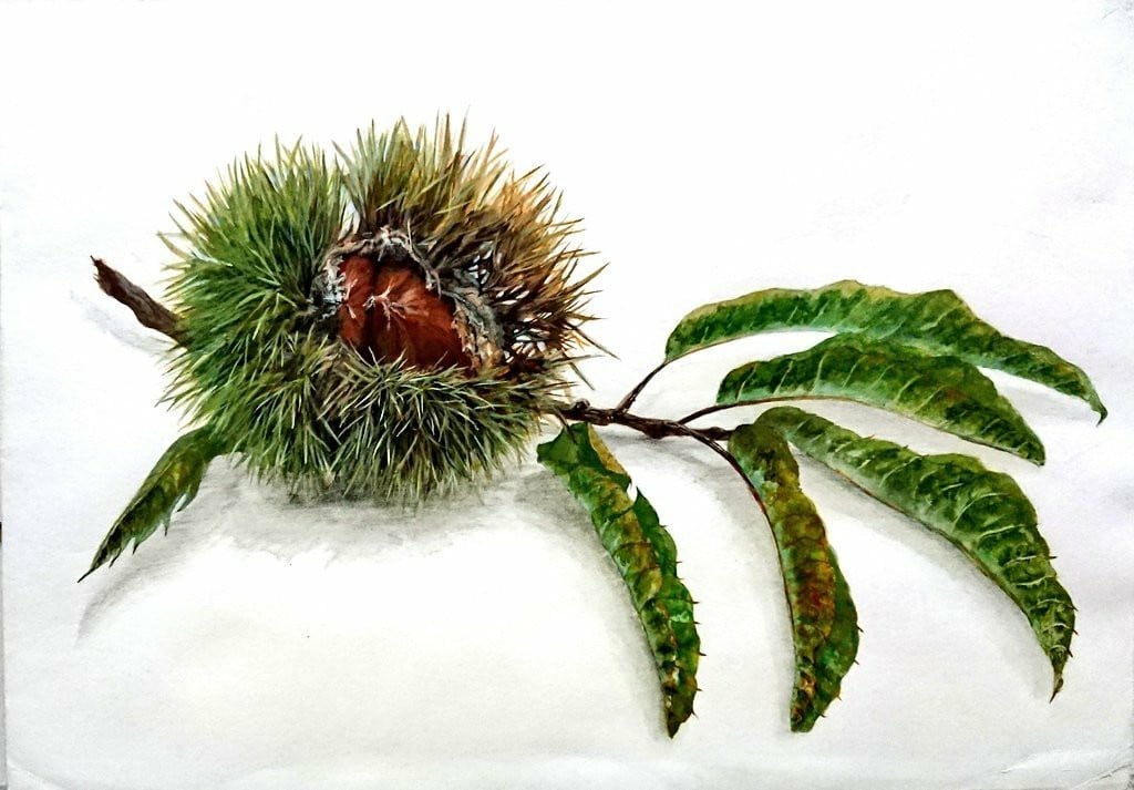 リアルな絵を描きます 水彩かアクリル絵の具、または両方使ってよりリアルを出します イメージ2