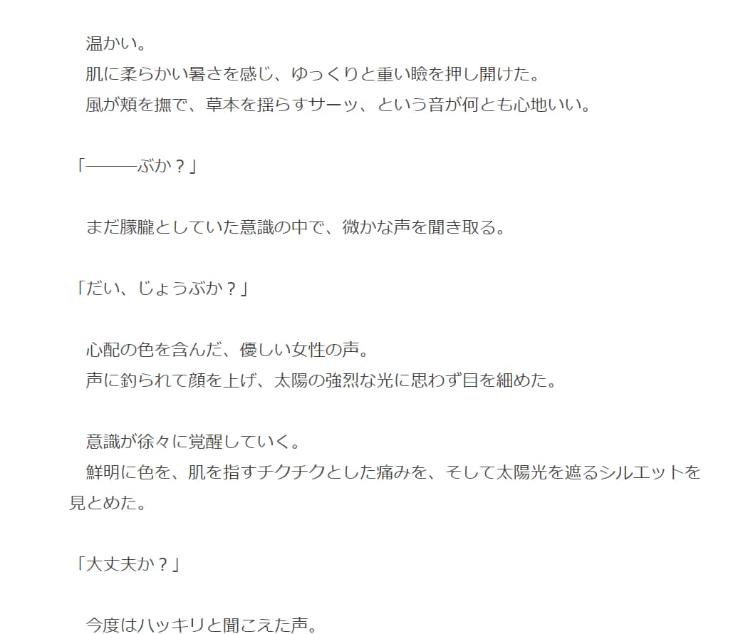 貴方の為だけの小説、設定制作承ります こんな小説が読みたい（書きたい）のに見つからない！という方へ イメージ2