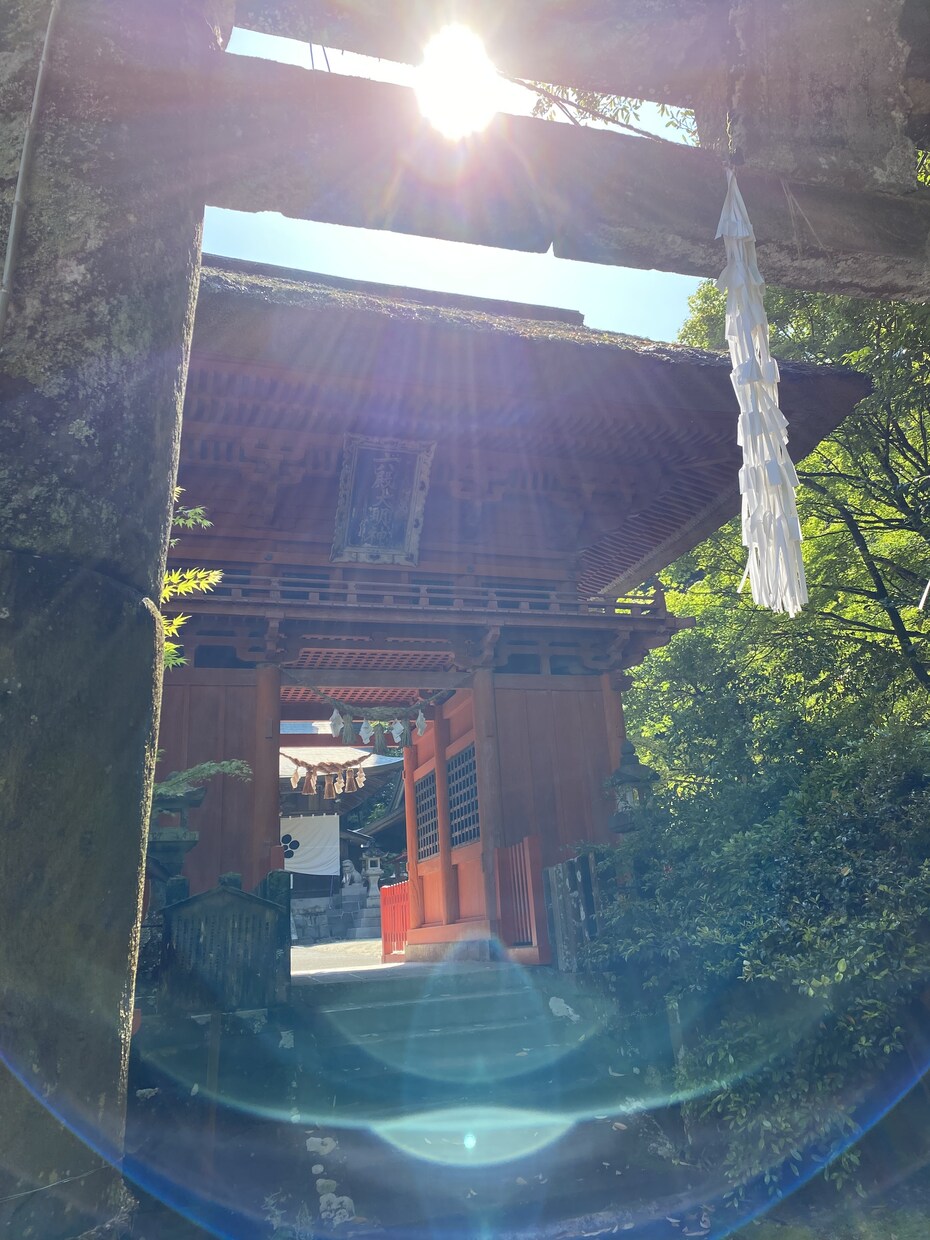 おすすめです！直感とオラクルカードで占います 見つけた時がﾀｲﾐﾝｸﾞあなたに必要なﾒｯｾｰｼﾞを届けます イメージ3