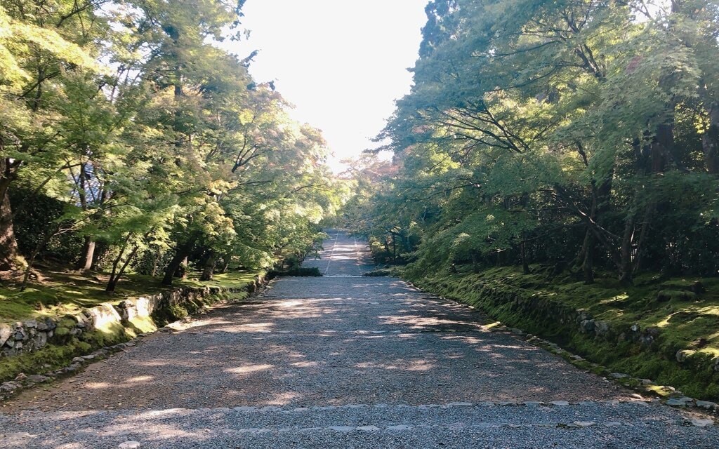 人生のお話、聞きます 寂しい時、疲れた時、嬉しい時、楽しい時色んなお話聞きます イメージ1