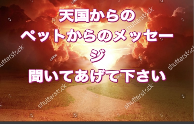 虹の橋からのペットの言葉教えます 家族だった大切なペット、虹の橋からのメッセージです! イメージ1