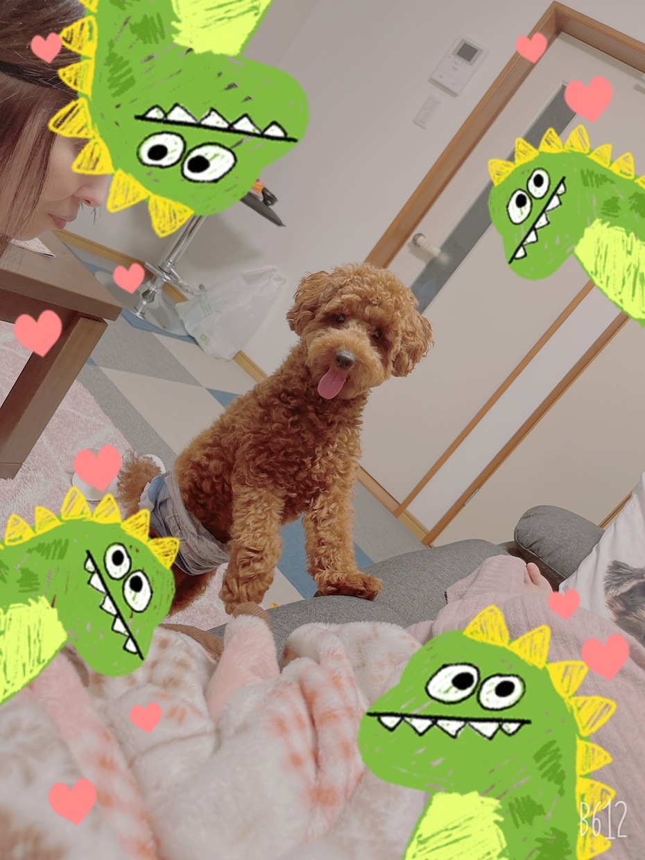 現役看護師があなたのお悩みにお応えします あなたは一人じゃない！普段言えないこともここでは言いやすい！ イメージ1