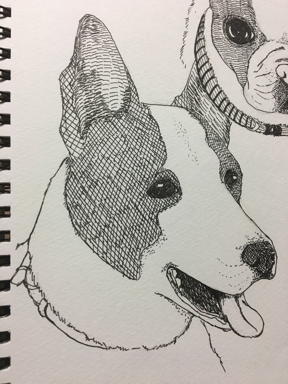 ペットのイラスト描きます 大切なペットのイラストをペン画で描きます！ イメージ3