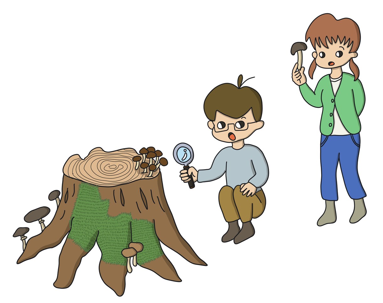 ホームページや販売ページ用の図解イラスト制作します イラストでやさしくわかりやすく伝わる手助けを イメージ1