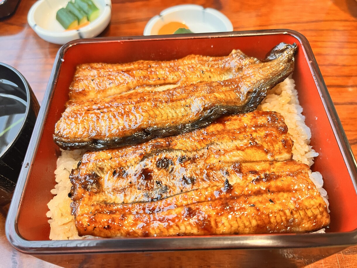 東海道五十三次を歩いて旅をしたい方ご相談にのります 江戸から京まで、道中のあれこれ、歩いた人に聞いてみませんか？ イメージ6