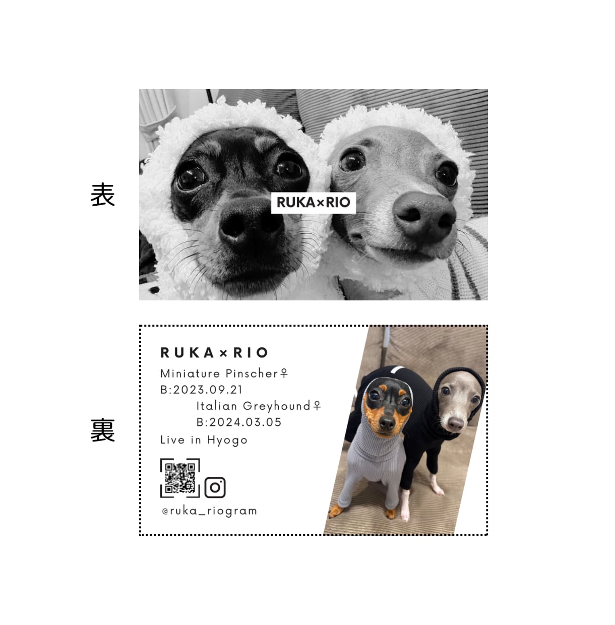 モノクロでおしゃれな『うちの子名刺』を作成します ペットイベントやお散歩中の自己紹介にぴったり！ イメージ3