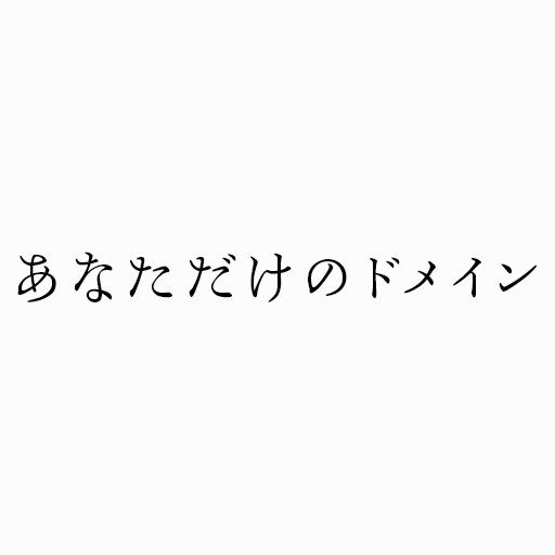独自ドメインでサイトを見られるように設定致します ドメインの取得もサポート致します イメージ1