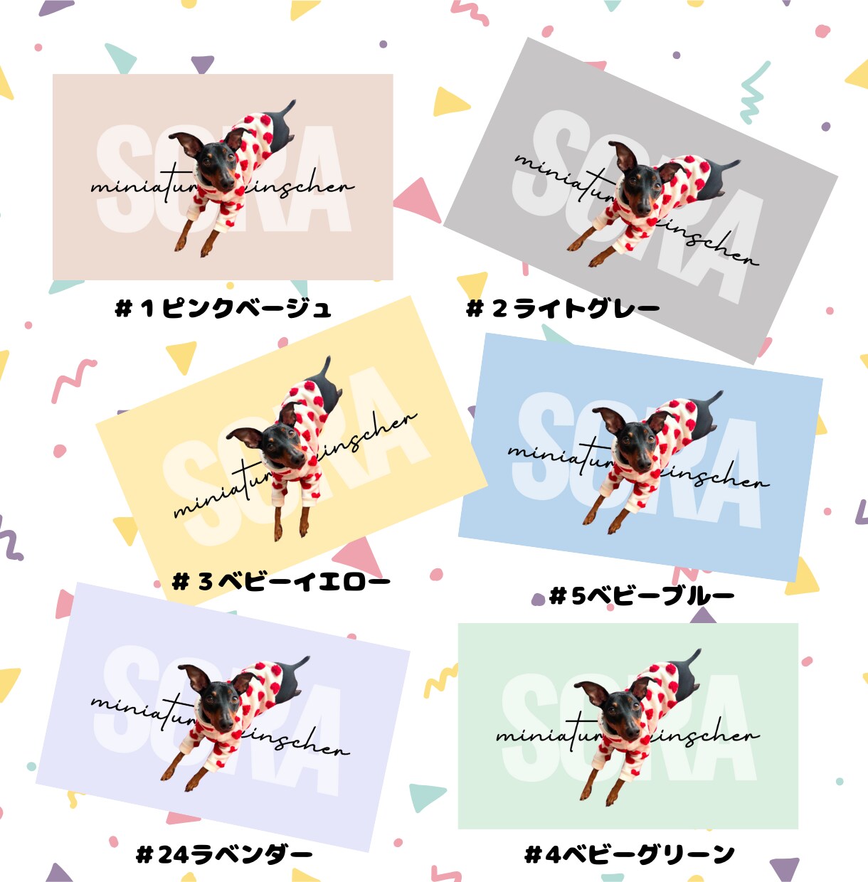 カラーが選べる『うちの子名刺』を作成します カラフルな名刺でペットイベントやお散歩中の交流にぴったり！ イメージ7