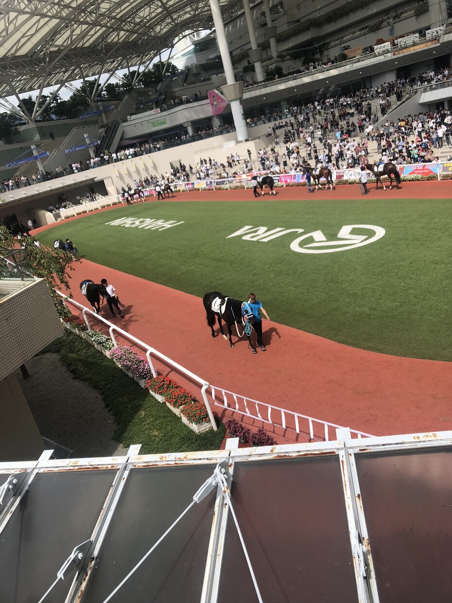 競馬初心者に馬券の買い方教えます 競馬を最近始めたけど当たらない！っていう方でもOKです！ イメージ2