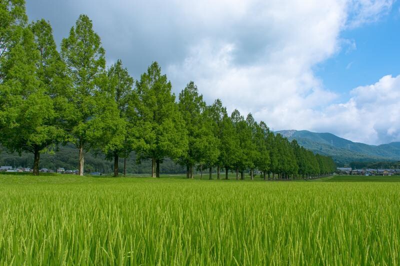 精神疾患とともに働く保育士が、あなたのお話聴きます 否定しません/悩み/話し相手/愚痴/精神疾患/不安/保育士 イメージ7