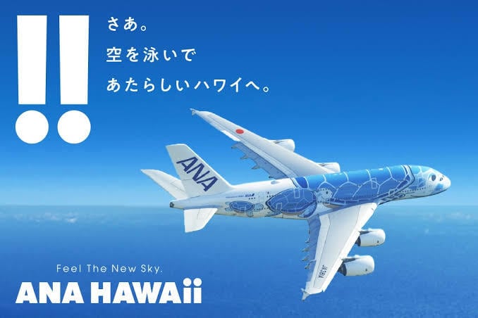 3ヶ月でハワイにタダでいくマイル術教えます クレジットカードでマイルを貯め、ハワイにタダでいきましょう。 イメージ1