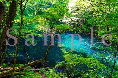 国内スポットの写真素材提供します 綺麗な風景写真をお探しの方に素材適用します。 イメージ4