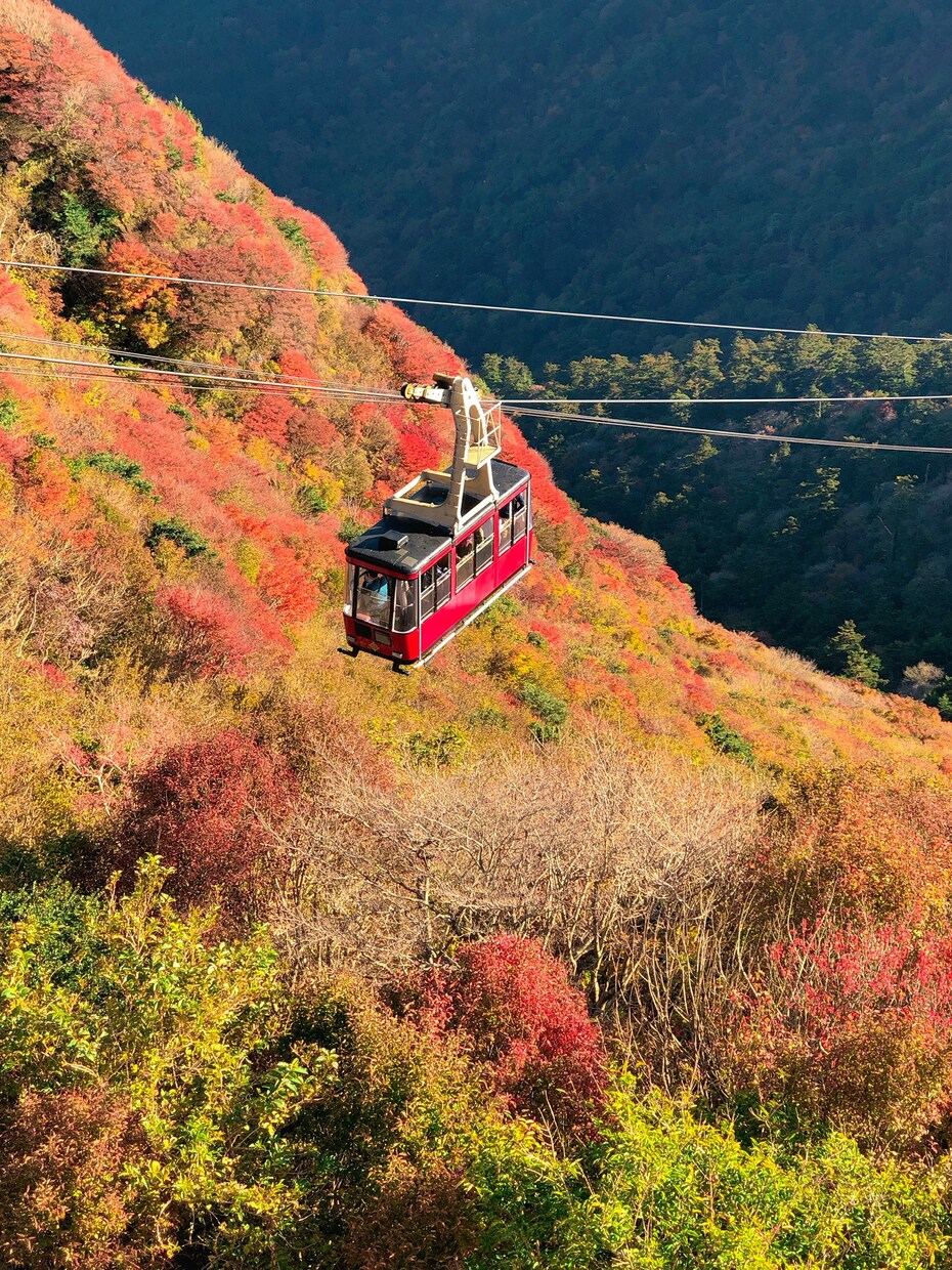 福岡、佐賀、長崎、熊本での撮影いたします ドローンを使った撮影も可能です！ イメージ2