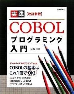 プログラミングのCOBOLの基礎教えます 分からない文脈、どう書いたらいいの？基礎的なことなんでも☆ イメージ1