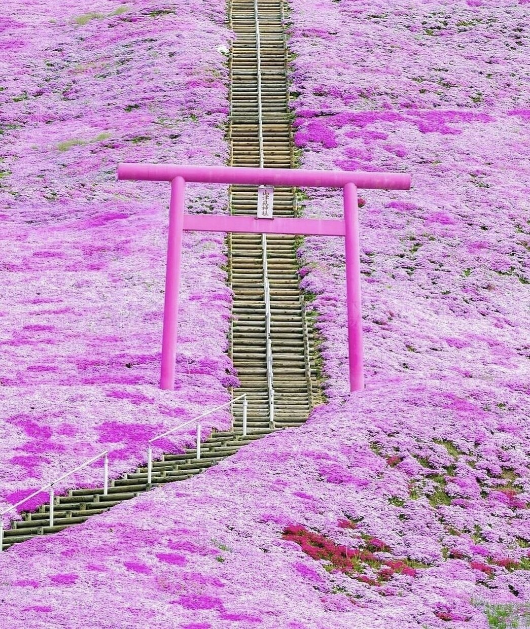 不倫恋愛、復縁、苦しい胸の内に寄り添います 不倫恋愛の女神❤️苦しみから解き放つお手伝いをします。 イメージ1