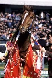 ダービー限定サイン読みから２つの連対馬番教えます ダービー馬は他のサインからダノンキングリーで！ イメージ1