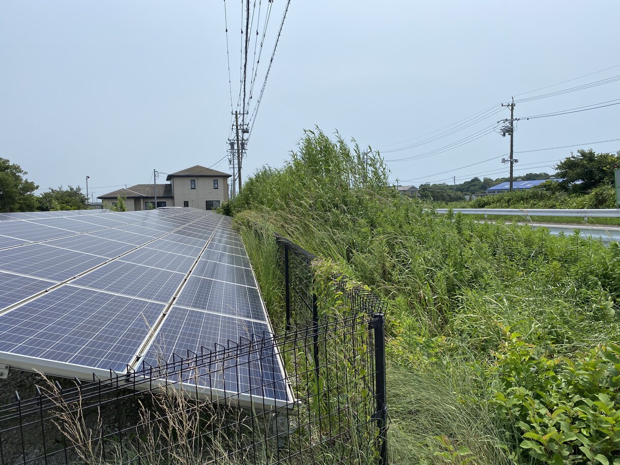 産業用太陽光発電所の除草を行います 元野立て太陽光開発担当者が行う、除草代行と点検作業です イメージ5