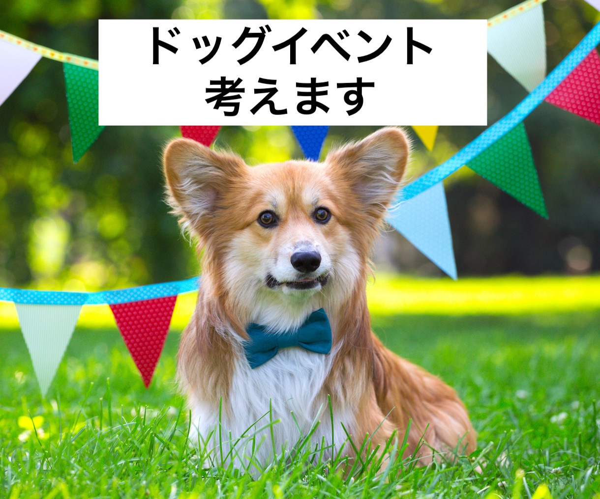 ドッグイベントを考えます 飼い主と愛犬が楽しめるイベントの企画を行います。 イメージ1