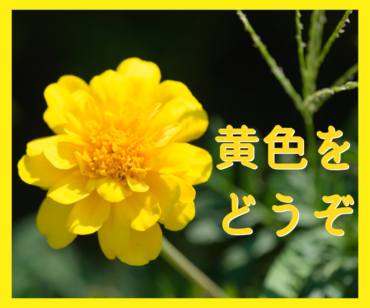 人間関係 初回・・厳しい孤独 お引き受けいたします 初回限定のサービスです。他のサービスをご利用された方も。 イメージ1