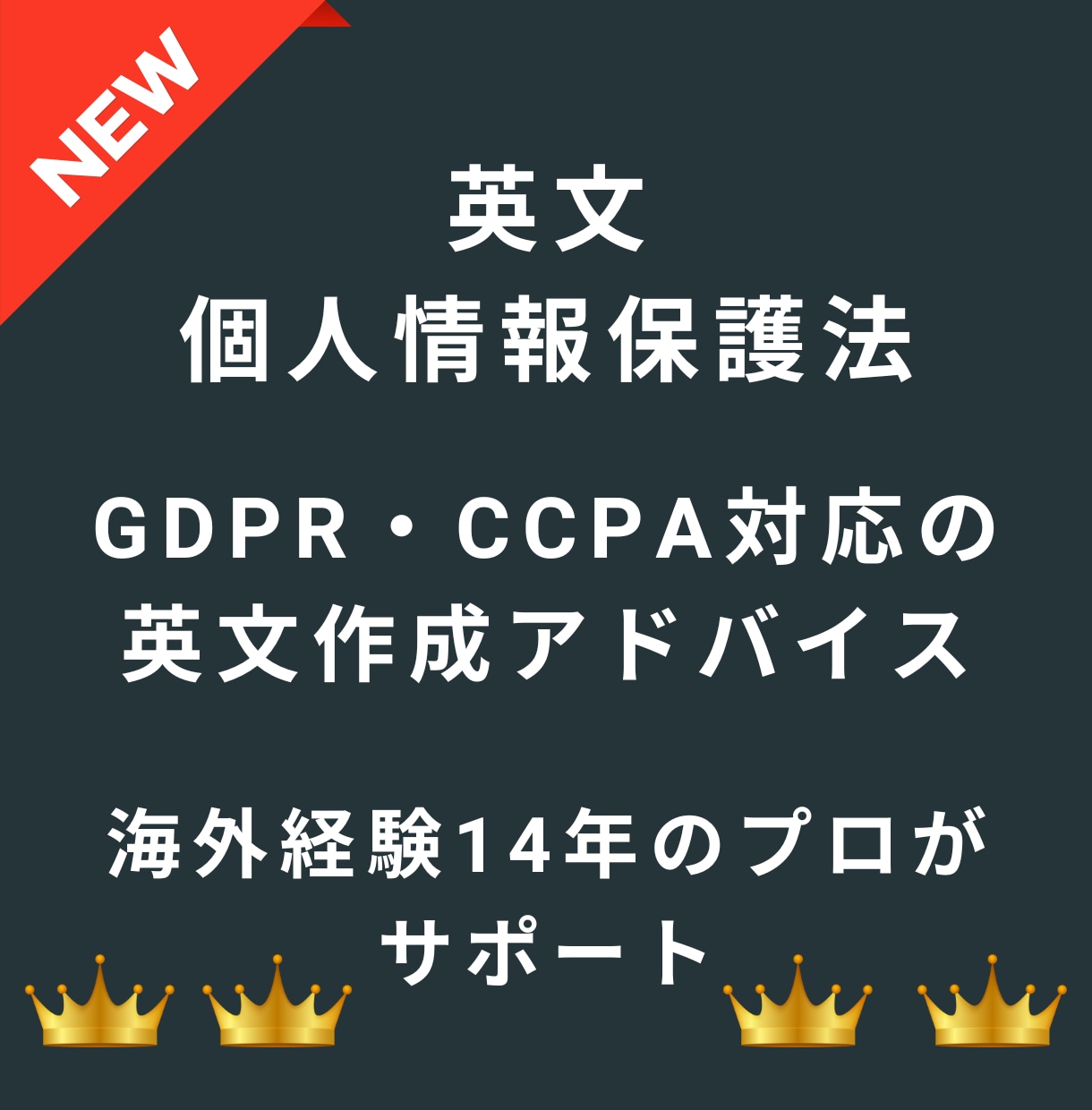 英文個人情報保護対応のポリシー関連アドバイスします GDPR・CCPA対応の英文翻訳・作成もお任せください イメージ1