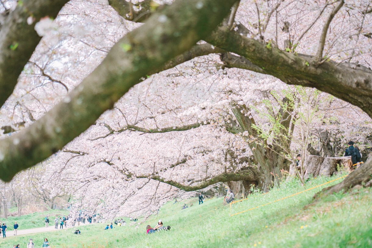 お部屋に飾る風景写真を提供します 写真歴10年　撮り溜めた風景写真をデータで提供します。 イメージ6