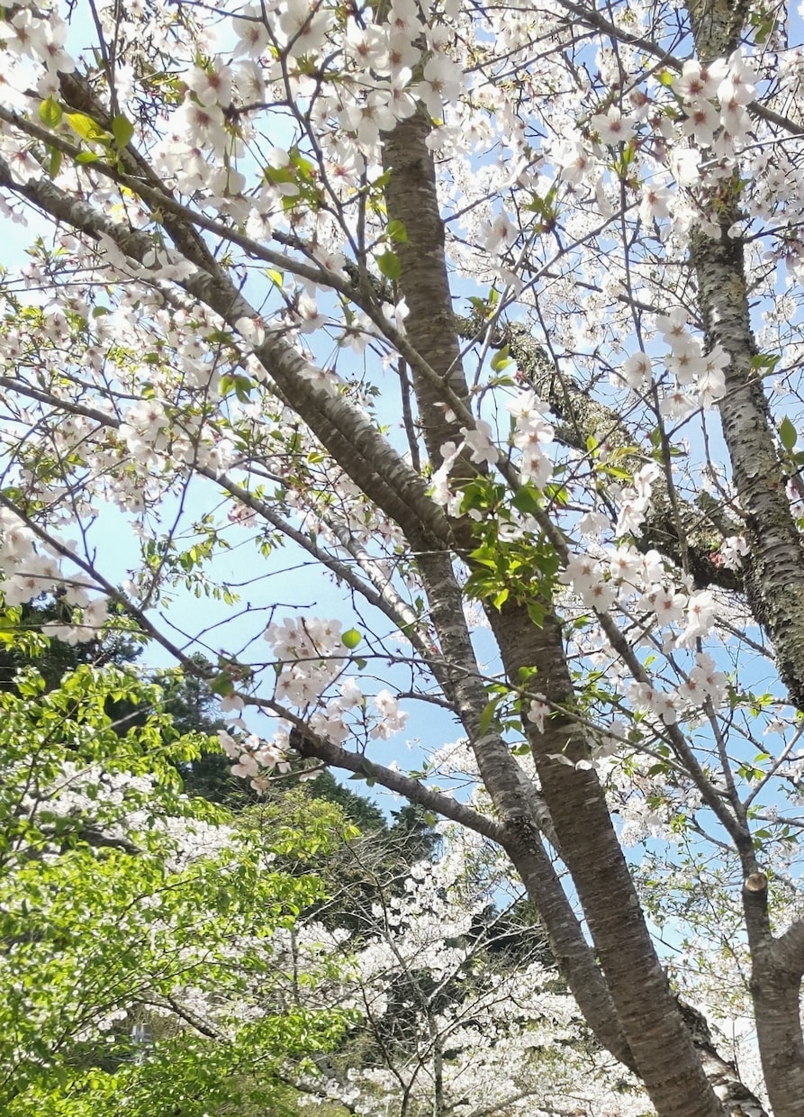 1分～気軽に雑談♪心の疲れをふわっと軽くします 友達感覚☆だれでも何でも話せるあなたの居場所✨ イメージ6