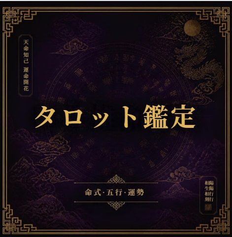 タロット｜相手の本心と今後の展開・状況を占います 曖昧気休めなし。タロットの象徴から導く「具体的な現状と未来」 イメージ1