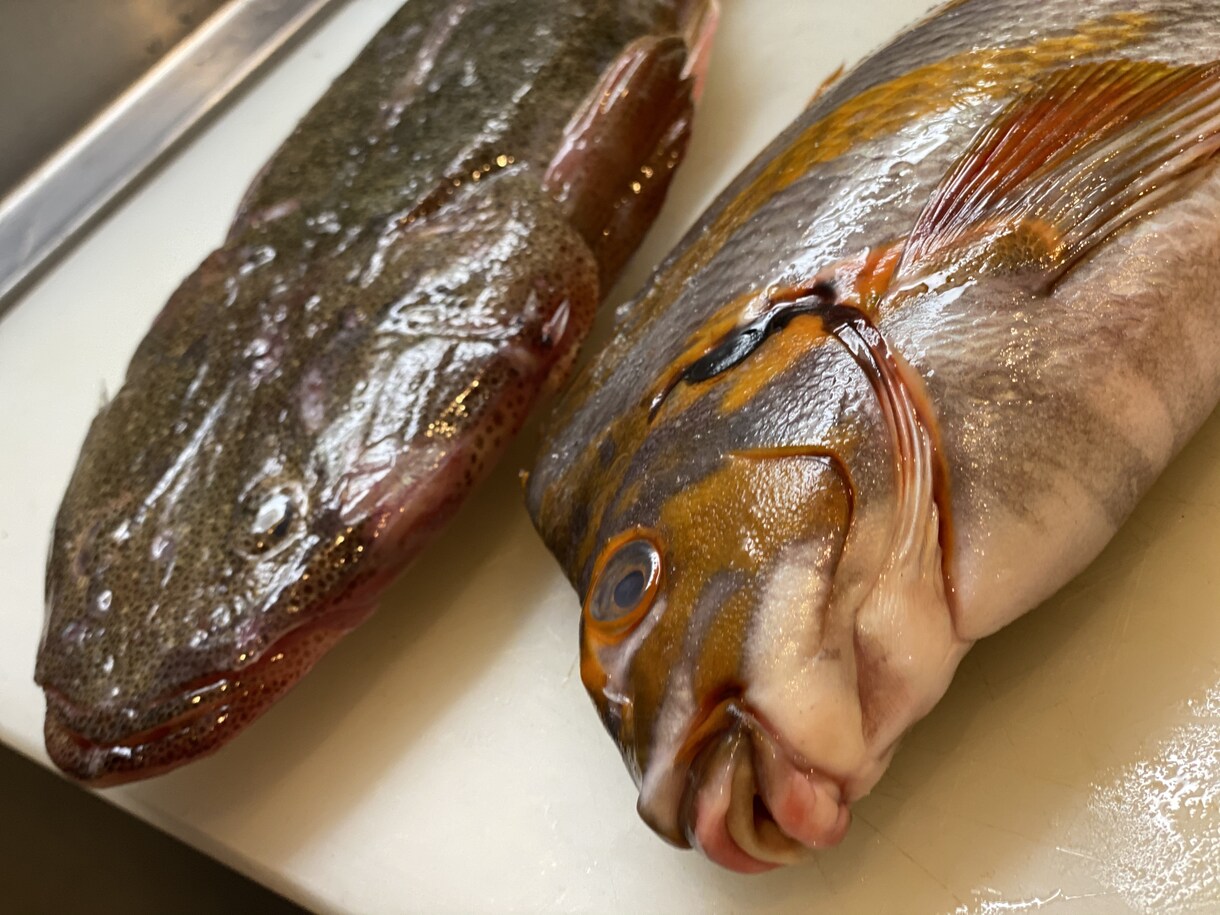 元フランス料理人です。なんでもお答え致します 料理の献立やどうすれば上手くいくのか等料理について答えます。 イメージ1