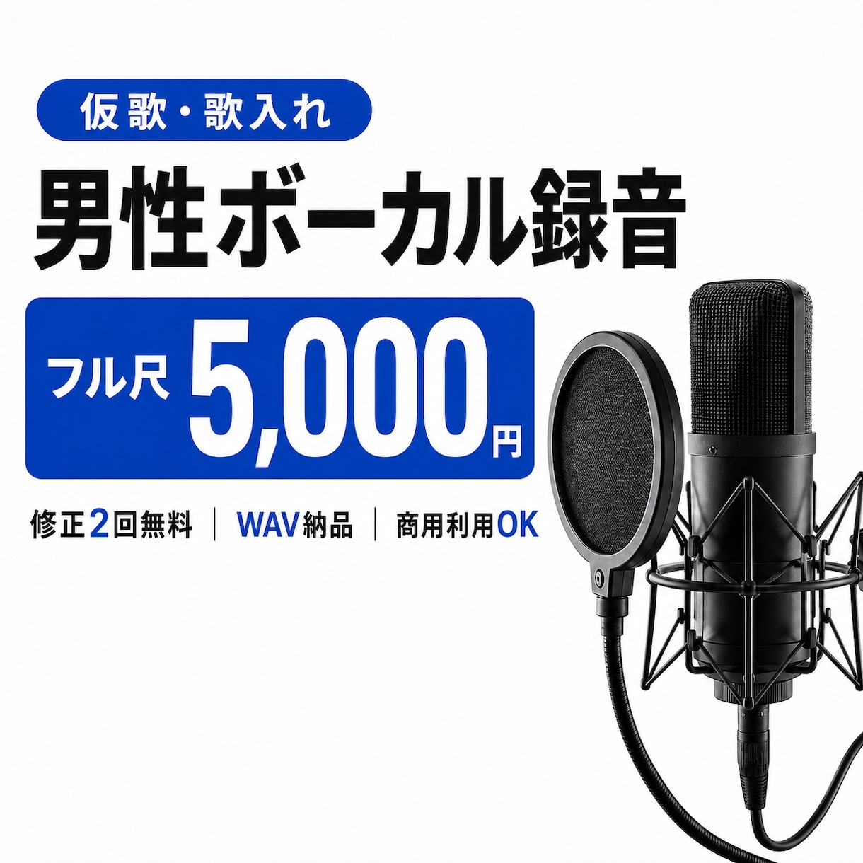 仮歌・歌入れ用の男性ボーカルを高音質で録音します 仮歌・歌入れ用の男性ボーカルを高音質で録音し イメージ1