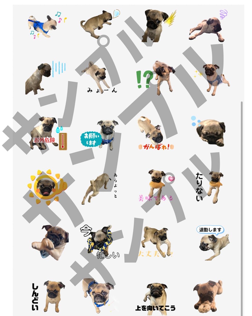 かわいい愛犬のLINEスタンプを作成します 愛犬家だからこそ作れる！あなたのうちの子スタンプを作ります♡ イメージ2