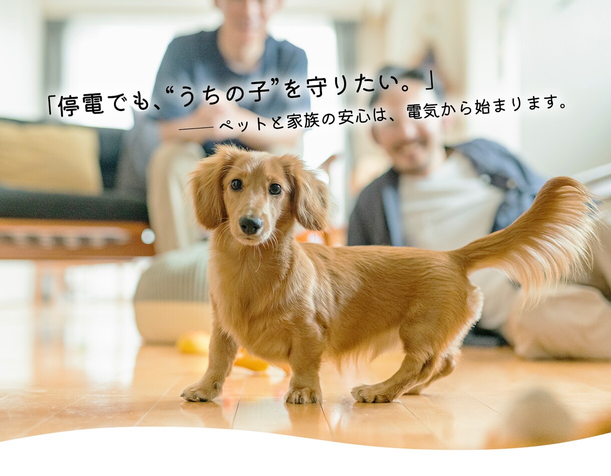 いざという時どこへ向かえばいいのか調べます 家族とペットを守る「地域別避難先リスト作成」サービス イメージ5