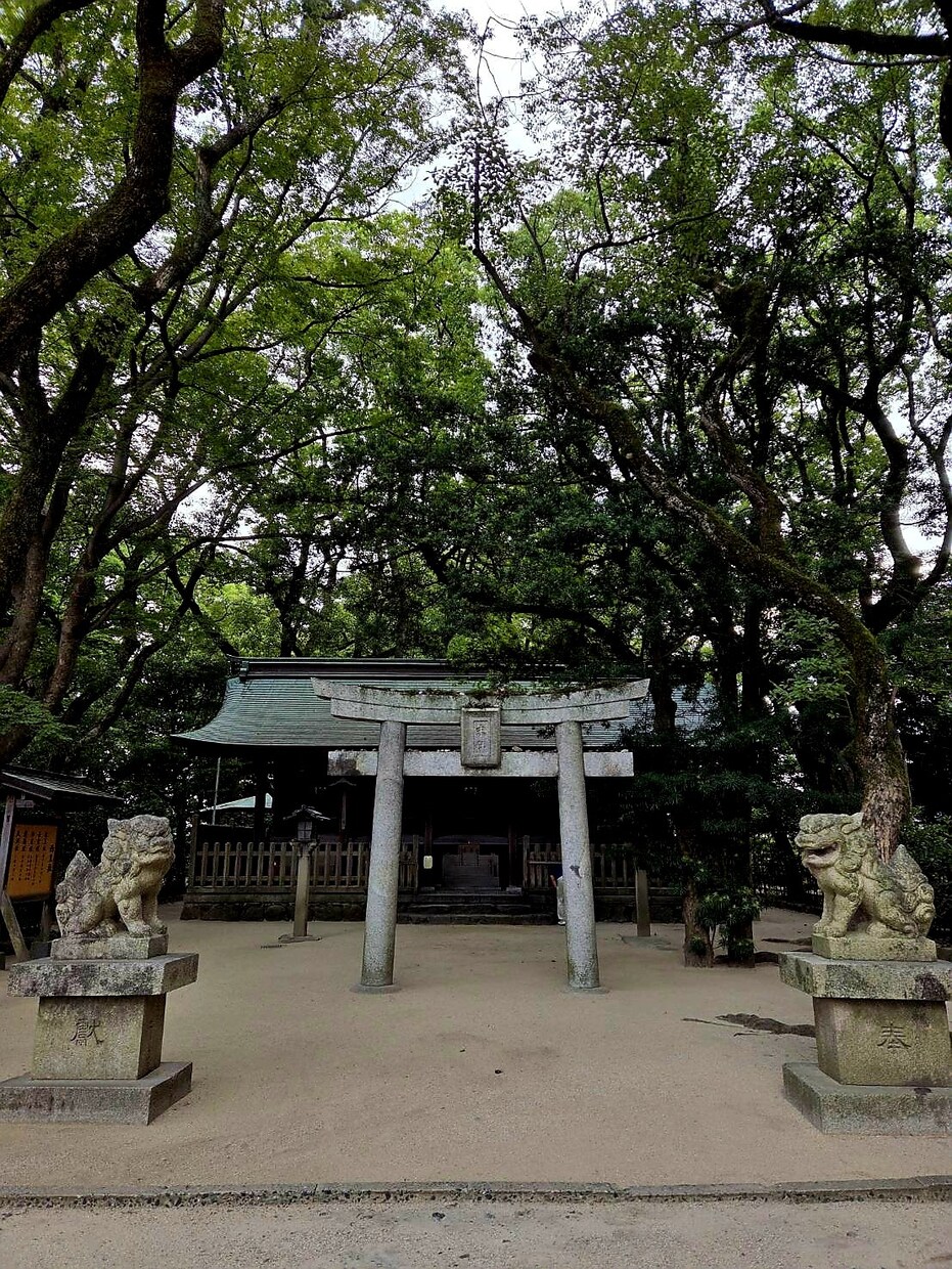 停滞期をチャンスに！運気アップの鍵をお伝えします 不安な天中殺を安心に！算命学であなたの未来を明るくサポート イメージ2