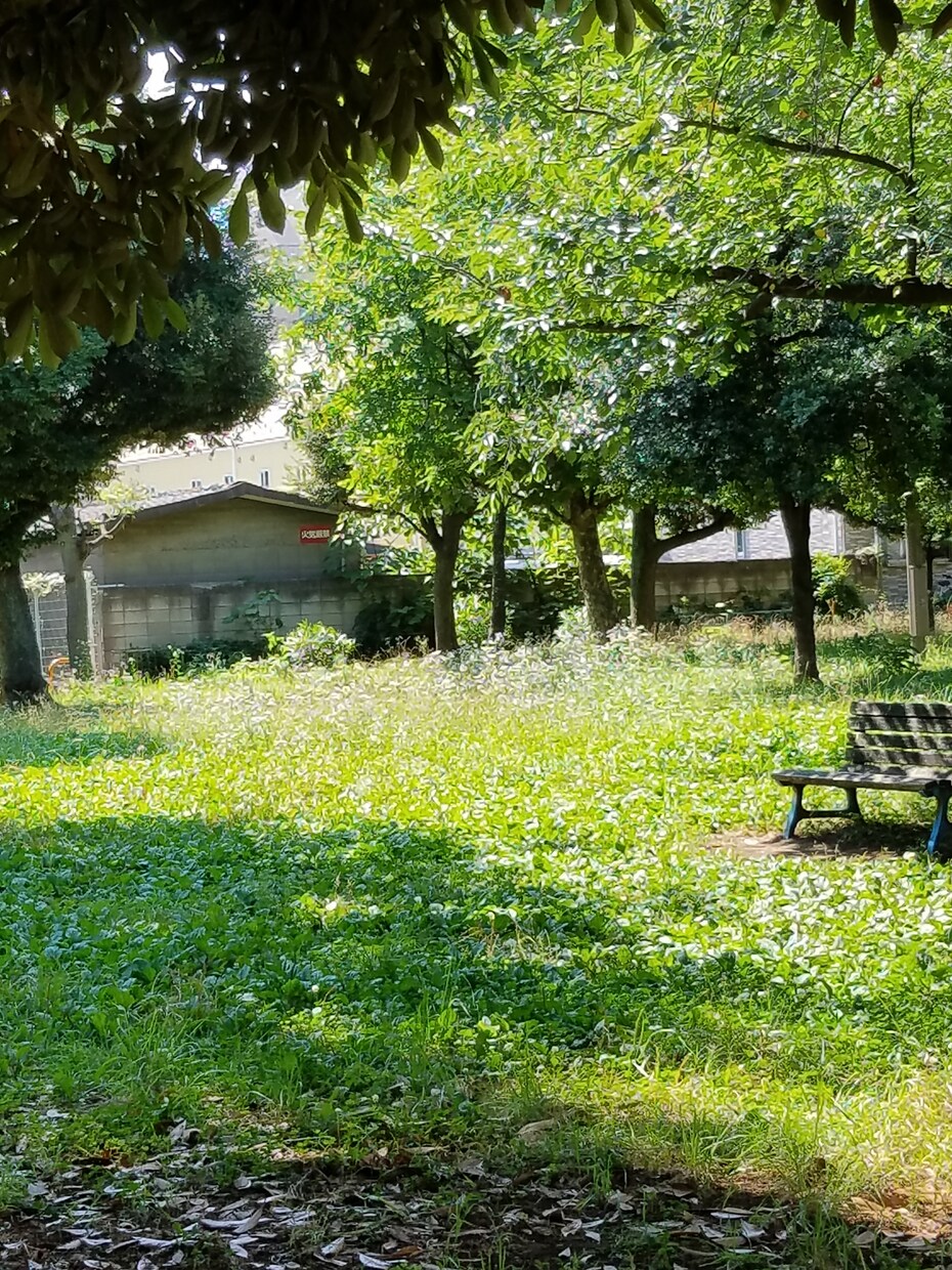 風景写真をとります イラストの背景に困った方。写真が好きな方。 イメージ3