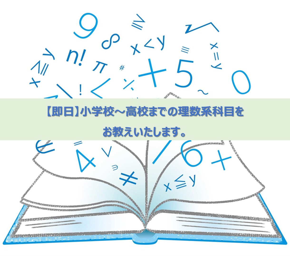 小学校〜高校の数学・物理の解説を即日お作りします ３～４問程度のサービスは即日で納品いたします！ イメージ1