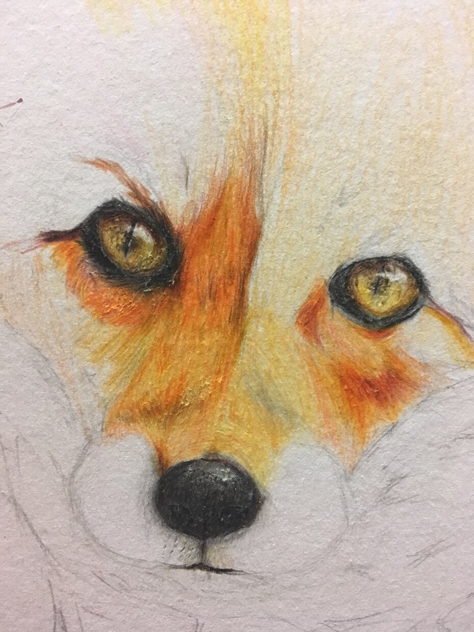 ペン1本でここまで可愛いわんちゃん描けます あなたのペットのイラストをおしゃれに飾りたい人必見！ イメージ10