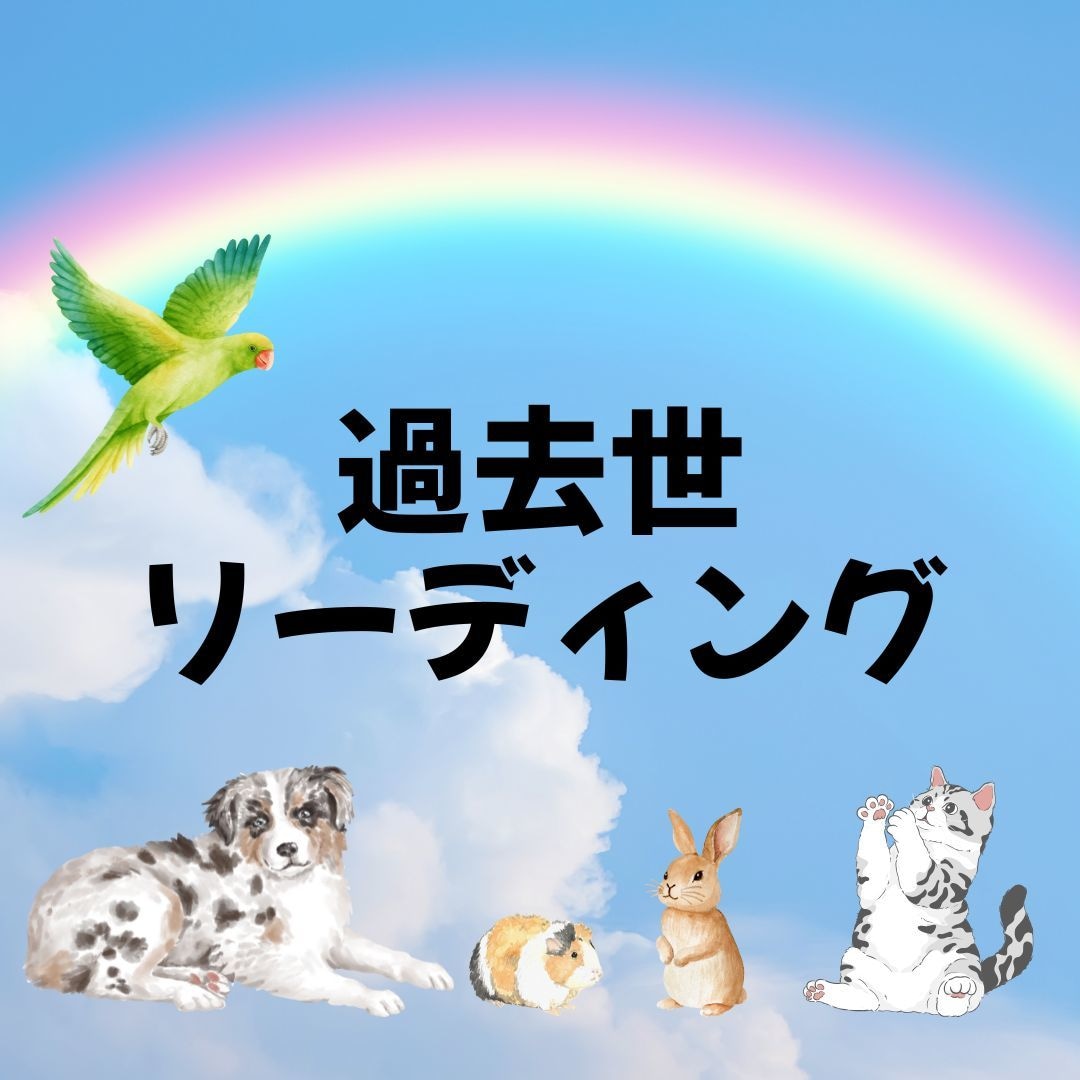 ペットさんとの過去世での関わりを視ます 過去世での経験が現在にも影響を受けている事も!? イメージ1