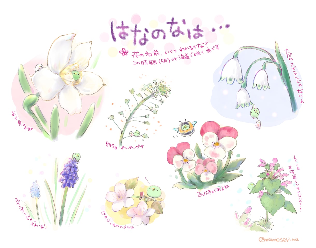 初心者入門◇デジタルイラスト等レッスンします 初めてのデジタルイラスト、何からすれば？にお応えします！ イメージ6