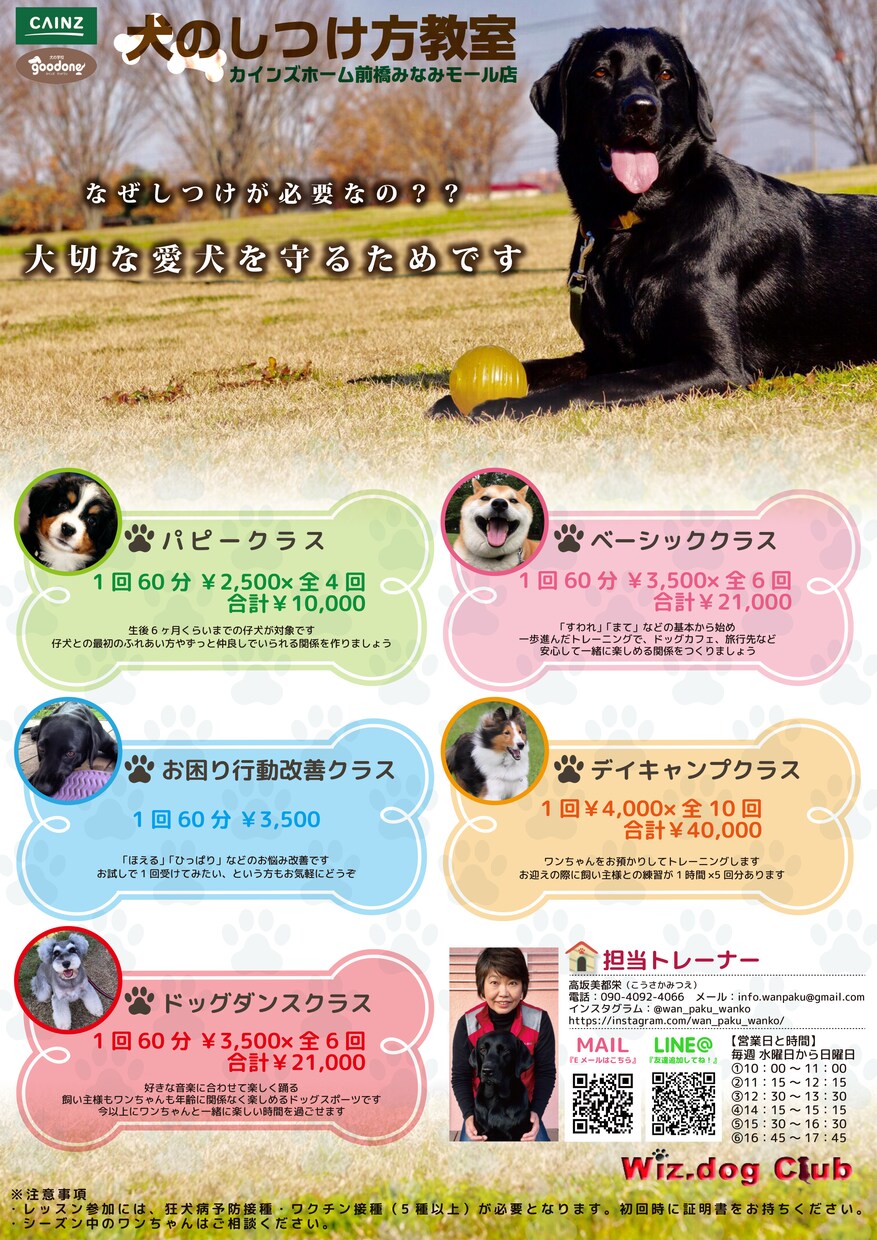 プロが効果的なチラシ/フライヤーを低価格作成します 実績多数のプロデザイナーが丁寧にやりとりさせて頂きます！ イメージ3