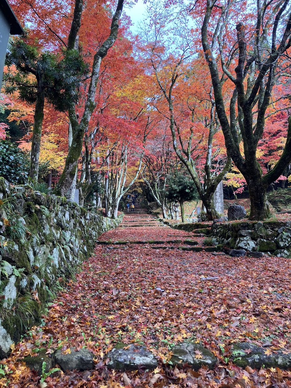 生まれつきの霊視を使ってお相手の気持ちを占います お相手を読み解き、取るべき行動やお相手の本心をお伝えします イメージ3