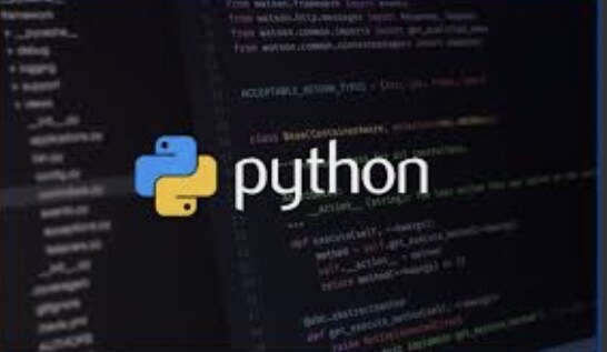 プログラミング初心者にPythonの基礎を教えます プログラミングを勉強してこれからのIT時代の波に乗りたい人へ イメージ1