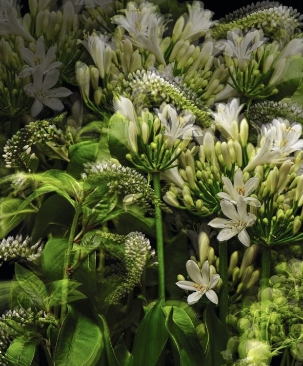 栄華金神エネルギー♡アチューメントします ♡栄華金神エネルギー♡モニター対価です^_−☆ イメージ1